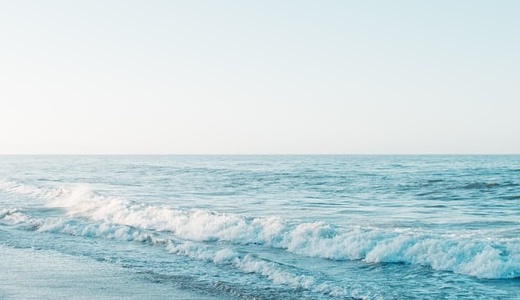 【日本製】首サポーター コルセット【現役医師監修】 軽量 高さ調節可 頸椎ヘルニア 寝違え